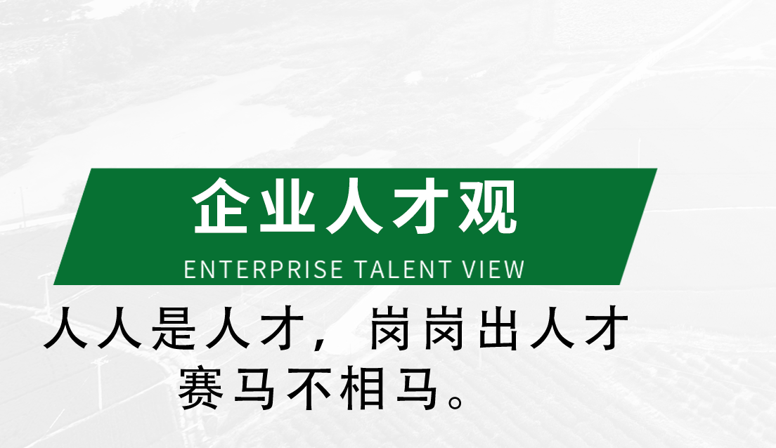 企業人才觀