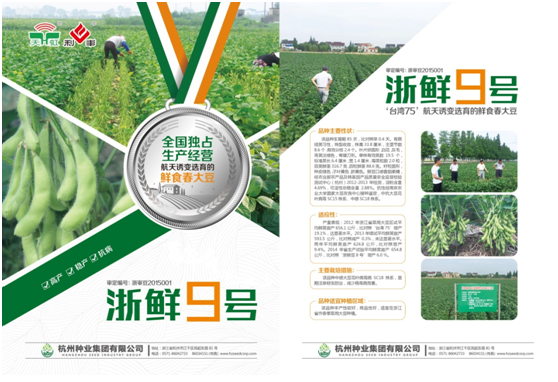 小小毛豆2.png
