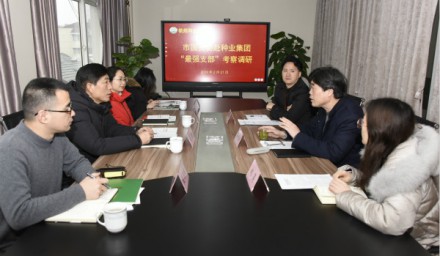 市國資委調研組赴種業集團調研基層支部黨建工作