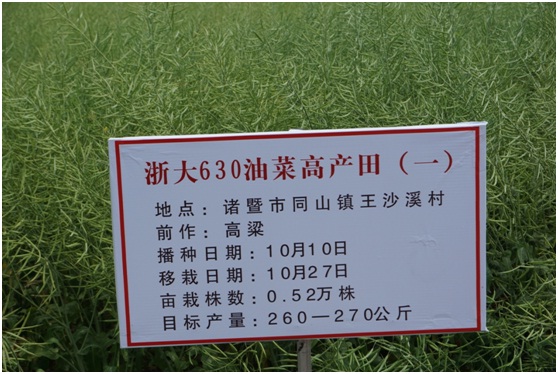 蓋鈞鎰院士赴杭州種業集團油菜新品種示范現場觀摩指導2.jpg