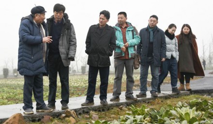 方智遠(yuǎn)院士到集團(tuán)院士工作站 指導(dǎo)工作
