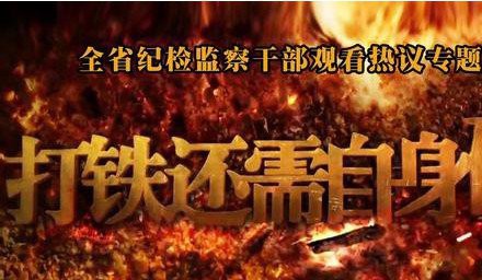 選好支部“領頭雁”，服務集團大發展——集團公司2個黨支部完成選舉工作