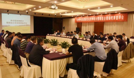 杭州種業集團科企合作論稻在杭舉行