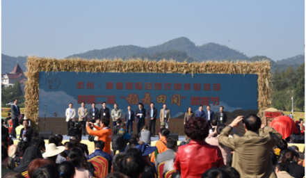 農耕文化在杭種集團水稻高產示范方舞動