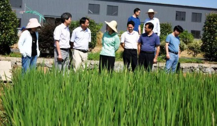 浙江省農科院院長勞紅武 赴杭州種業集團科研基地調研慰問