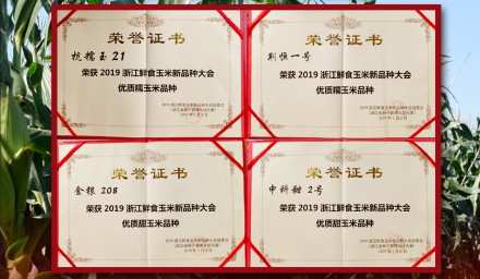 我司4玉米新品種喜獲省級“十大”優質品種