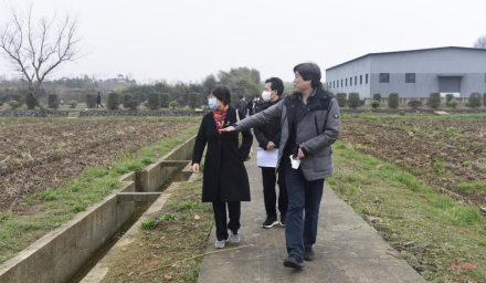 浙江省鮮食玉米專家組蒞臨集團科研基地考察指導
