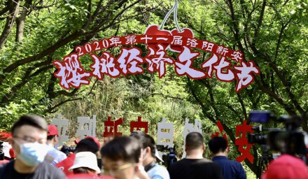 第十一屆洛陽·新安櫻桃經濟文化節開幕