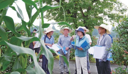 農民日報專題報道2020全國·浙江鮮食玉米大會