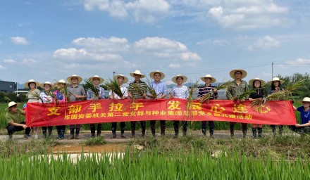 支部手拉手、發(fā)展心連心  市國資委與杭州種業(yè)集團(tuán)開展基層黨建共建活動(dòng)