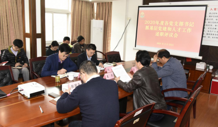 集團(tuán)公司召開2020年度黨支部書記抓基層黨建和人才工作述職評議會