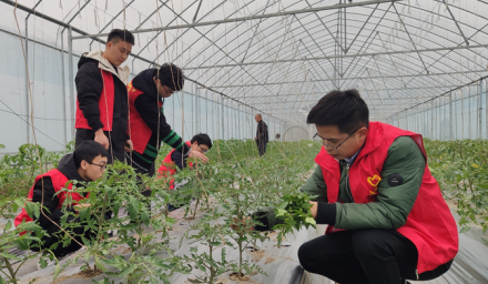 杭州種業(yè)集團(tuán)利豐志愿者服務(wù)隊學(xué)雷鋒助春耕