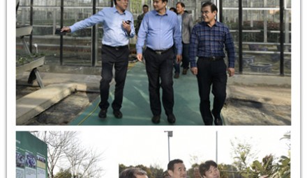 全國農(nóng)業(yè)技術(shù)推廣服務(wù)中心副主任劉信到我司考察指導(dǎo)