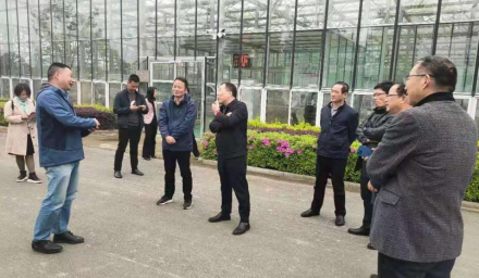 嘉興市政協農業和農村委主任陳國華 赴杭種集團徑山基地調研