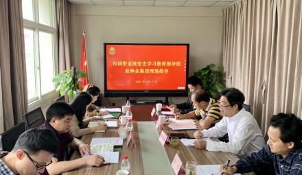 市國資系統黨史學習教育巡回指導組赴集團公司指導工作