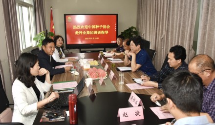 中國種子協會赴集團公司調研指導