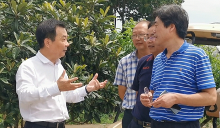 市農業農村局柴世民局長赴集團公司調研指導