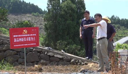 市國資系統黨史學習教育巡回指導組深入杭州種業集團“辦實事”一線指導