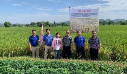 種業振興在行動：杭州種業集團超級稻品種‘中組143’再奪早稻高產