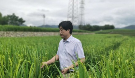 杭州種業(yè)集團(tuán)積極創(chuàng)建山地變糧倉“浙江樣板”