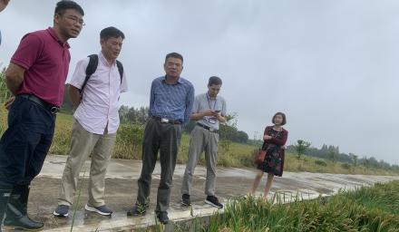 市區(qū)聯合開展種子生產基地檢查和產地檢疫