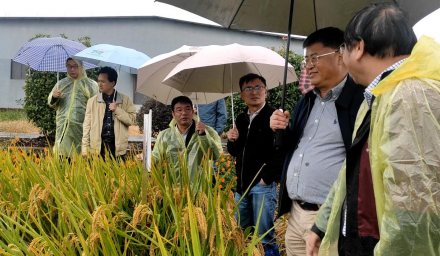 胡培松院士在杭州種業(yè)集團推動所企合作項目落地