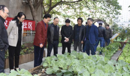 未來社區城市微農項目觀摩研討會 取得圓滿成功