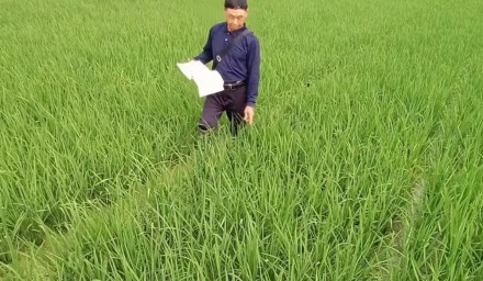控疫情保生產 ︳杭州種業集團南繁基地別樣的春節