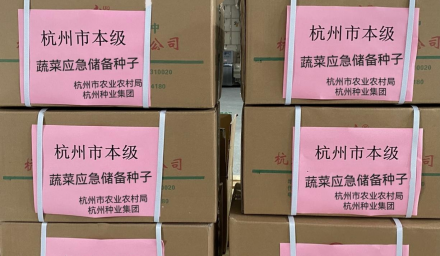 控疫情保生產 ︳杭州種業集團聚焦打贏疫情防控戰全力保障供種生產