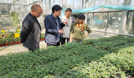 種業開新局 | 孫利祥董事長赴徑山基地指導春耕生產、新品種試驗工作