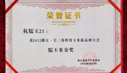 杭州種業(yè)集團(tuán)糯玉米品種杭糯玉21再獲金獎(jiǎng)