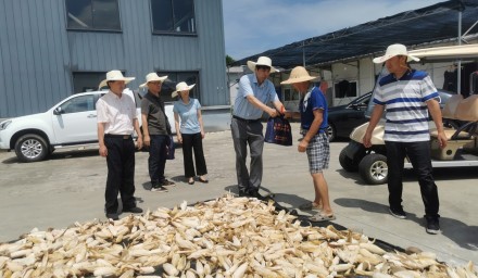 市發(fā)改農(nóng)林工會(huì)赴杭州種業(yè)集團(tuán)慰問(wèn)高溫一線職工