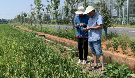 省市縣有關種子管理部門聯合赴集團儲備種子生產基地督查檢查