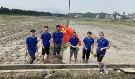 助力共富 | 杭州種業集團“種?豐收”服務隊田間地頭戰“三夏”