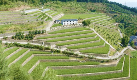 杭州種業(yè)集團(tuán)“種?豐收”黨建品牌唱響共同富裕田園四季歌