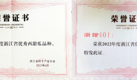 兩個甜瓜品種再次蟬聯省級“十大”優秀品種