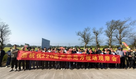 以禾為鑒，選種增收 | 杭種集團“浙杭優”系列雜交稻繪就豐收盛景