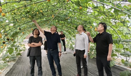 中商（浙江）現代農業、瑞安市農業農村局與杭州種業集團深化合作交流