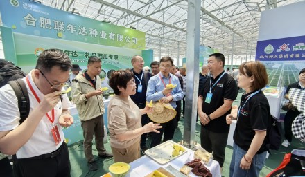 杭種“芯”動力，點亮2024浙江瓜菜新品種大會