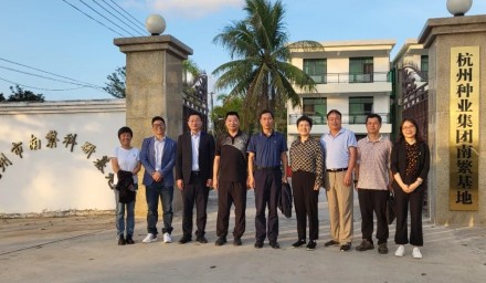 浙江省農科院副院長李國景一行蒞臨杭州種業集團南繁基地調研指導